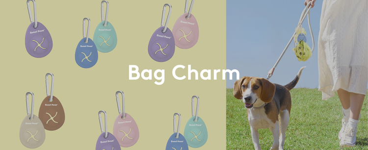 Bag Charm (new)