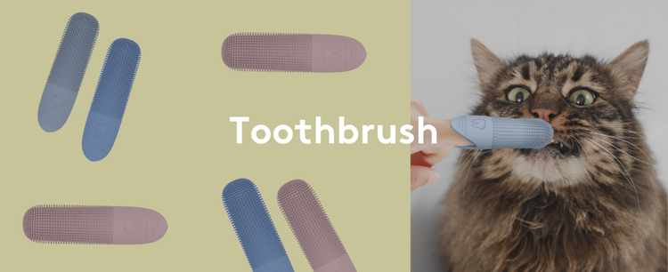 Toothbrush