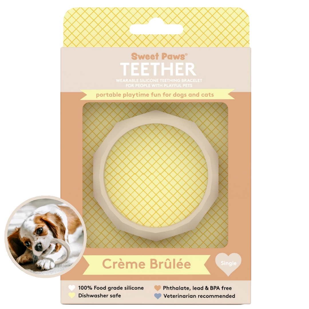 Silicone Dog & Cat Teether