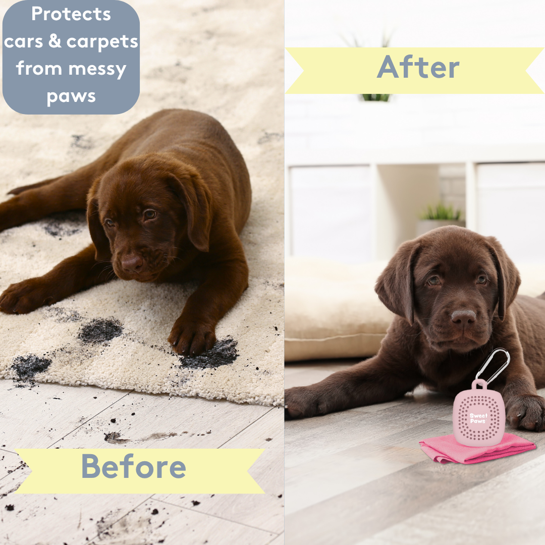 Portable Paw Towels