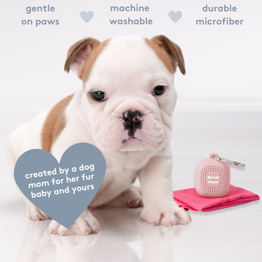 Portable Paw Towels