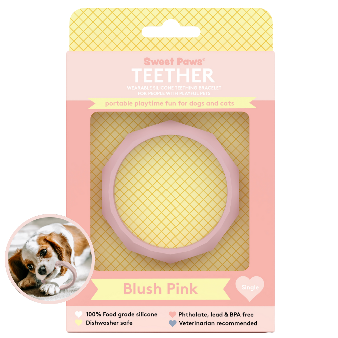 Silicone Dog & Cat Teether