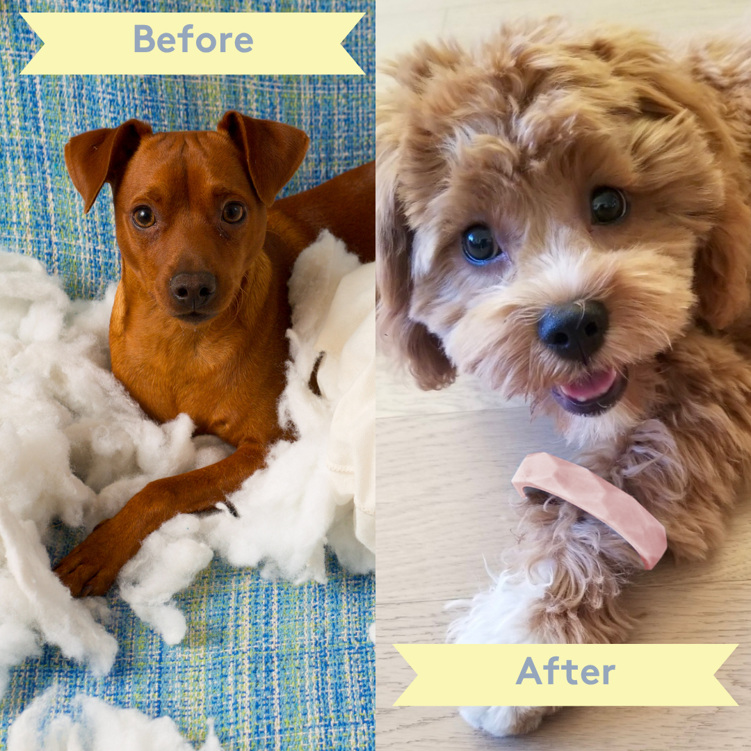 Silicone Dog & Cat Teether