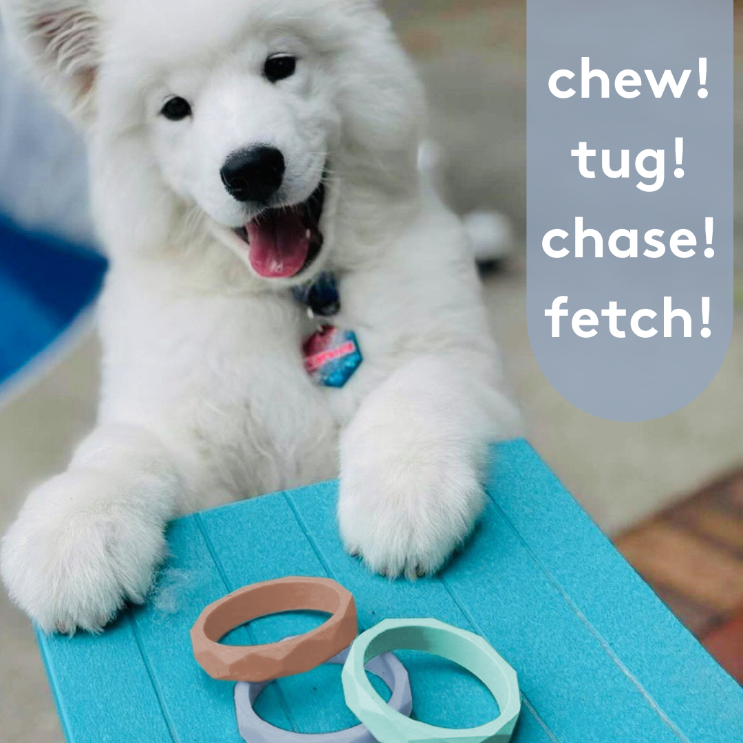 Silicone Dog & Cat Teether
