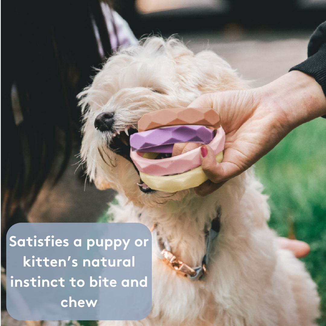 Silicone Dog & Cat Teether