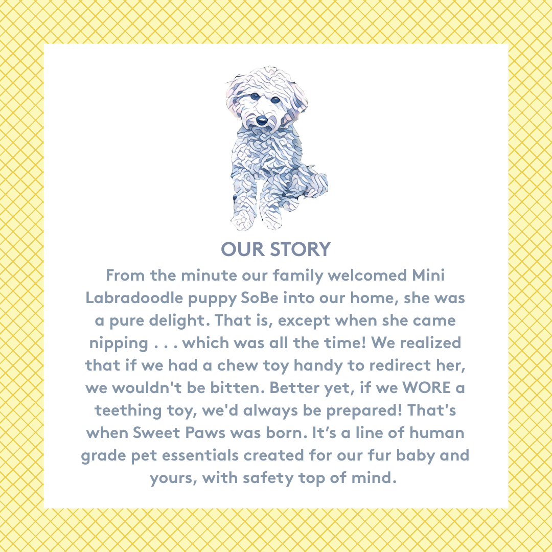 Silicone Dog & Cat Teether