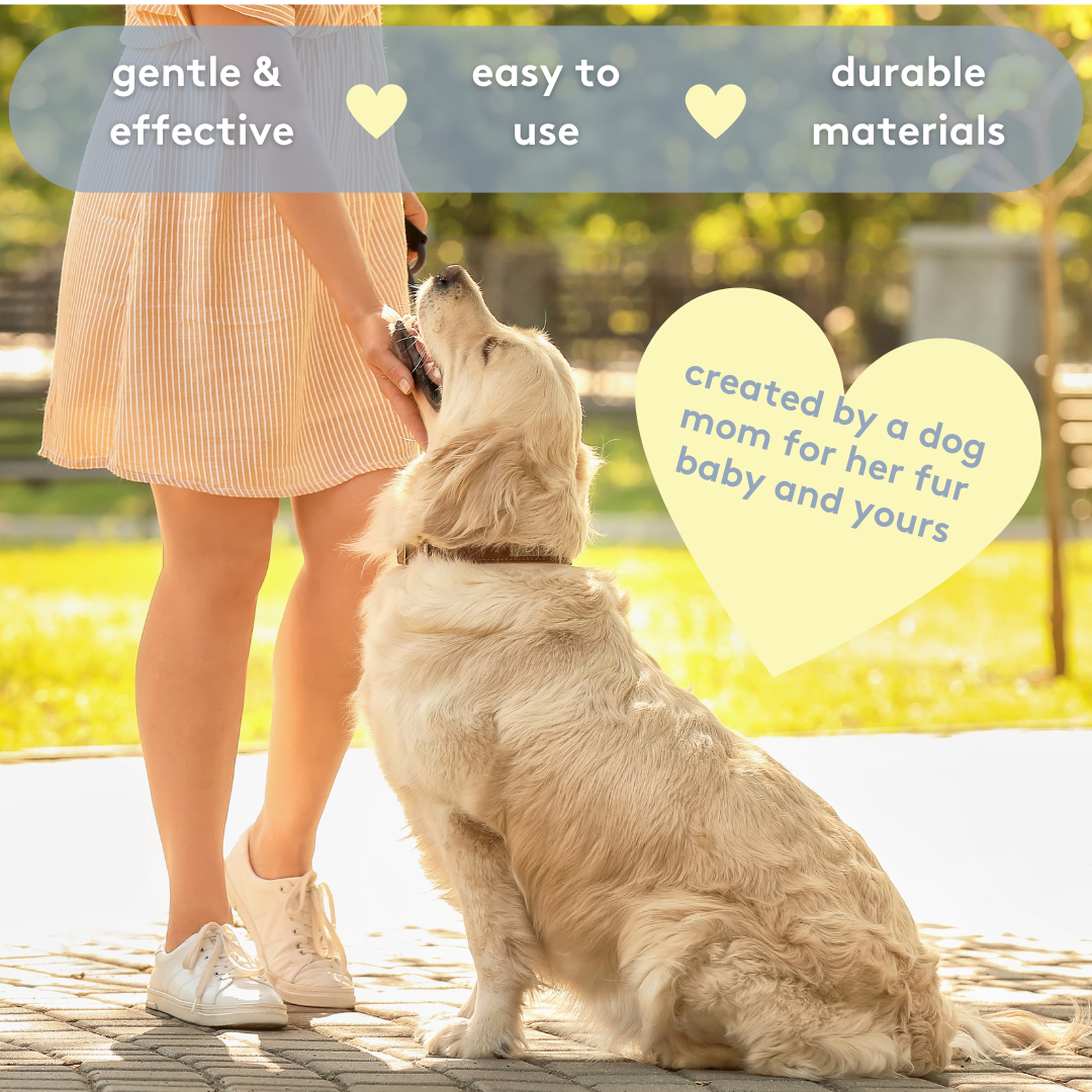 Silicone Dog & Cat Teether