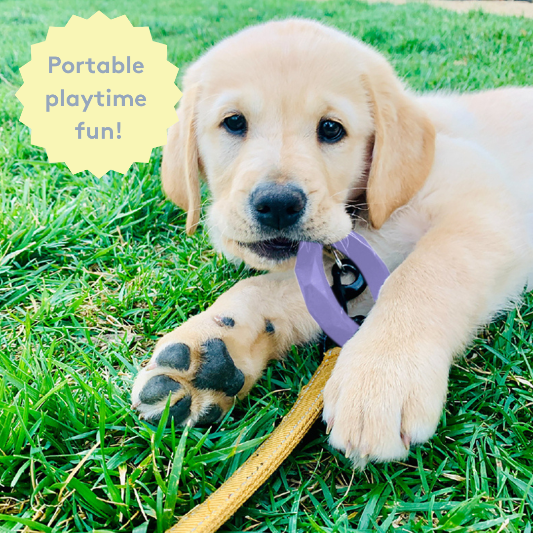 Silicone Dog & Cat Teether
