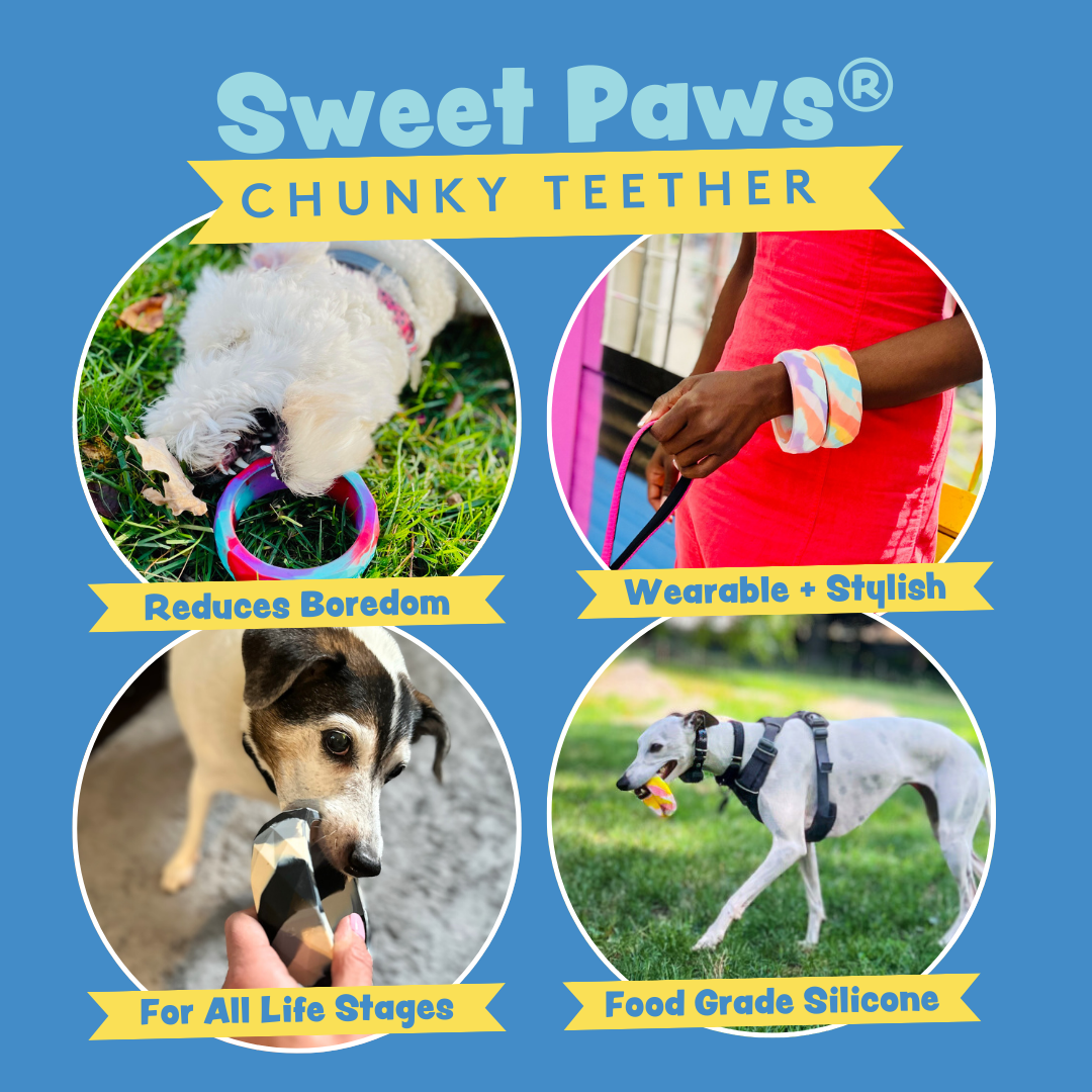 Silicone Chunky Teethers for Dogs