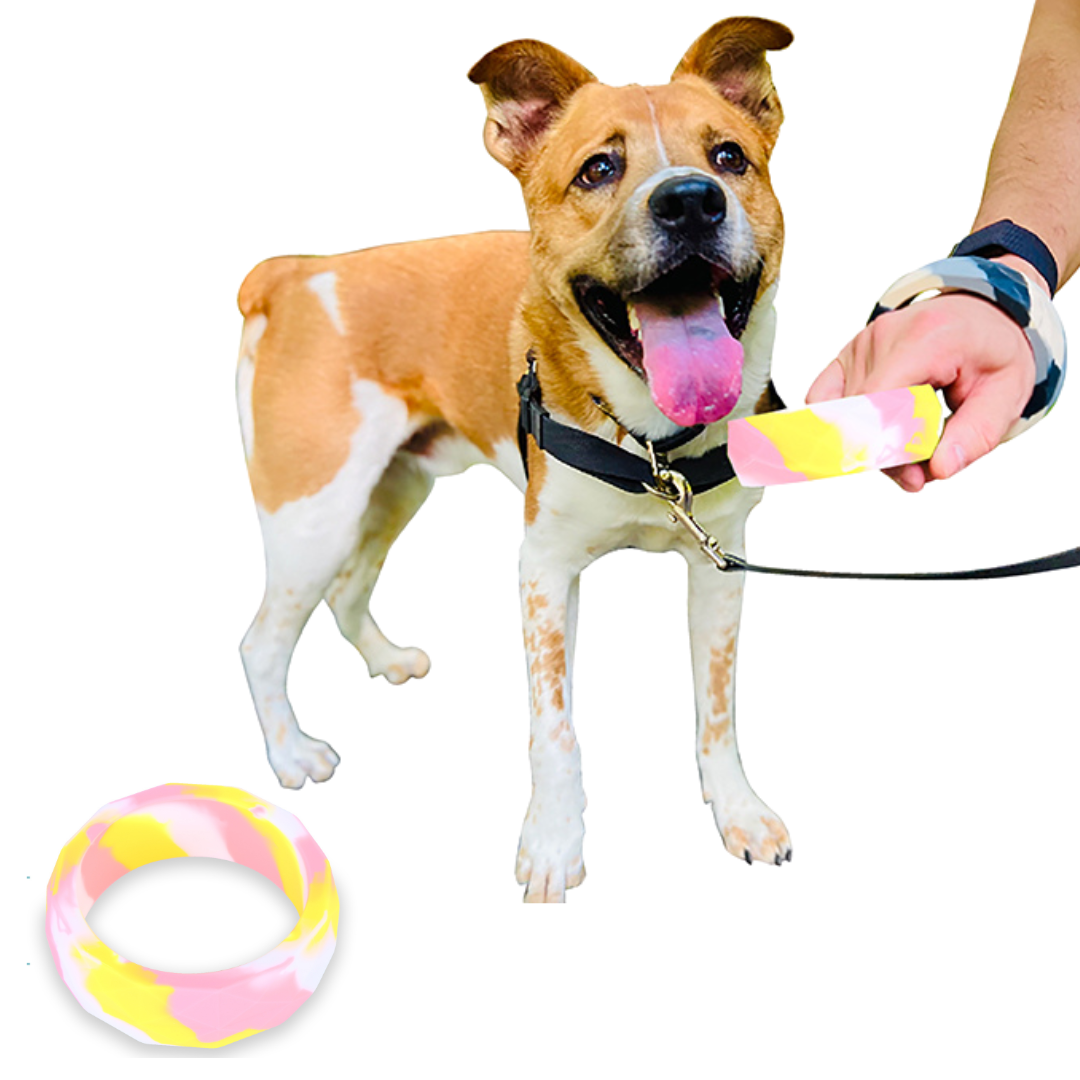 Silicone Chunky Teethers for Dogs