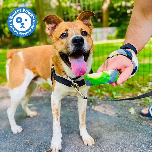 Silicone Chunky Teethers for Dogs Sweet Paws