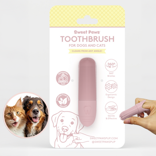 Toothbrush