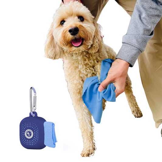 Little Paws Microfiber Portable Dog Towel