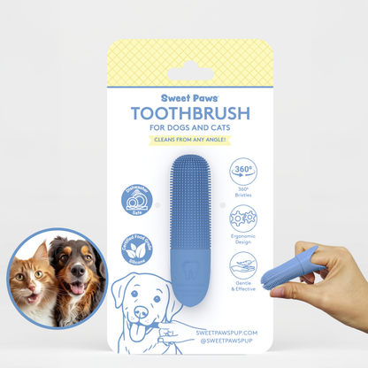Toothbrush