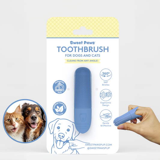Toothbrush