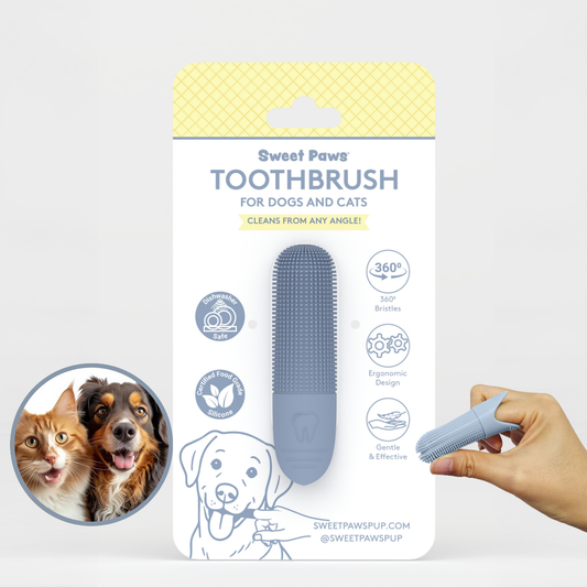Toothbrush