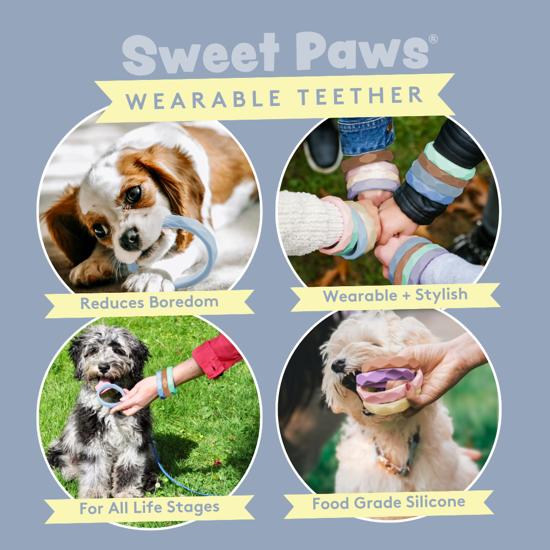 Silicone Dog & Cat Teether