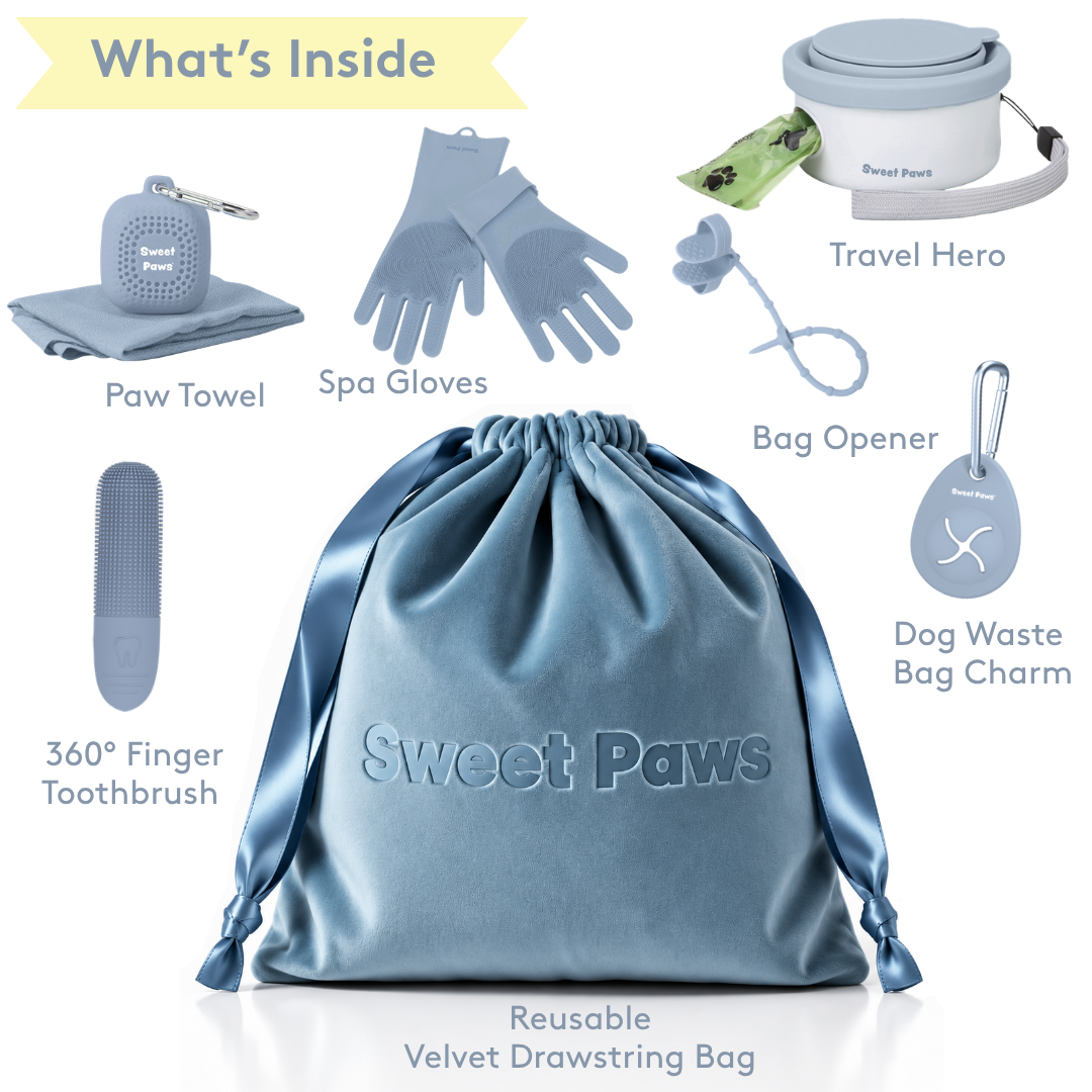 New Puppy Welcome Gift Premium Parent Set in Glacier Dog Pet Grooming Sets - 7pc
