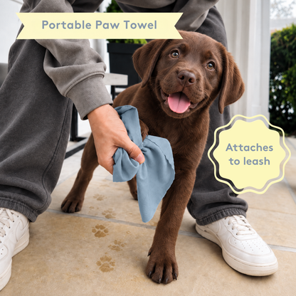New Puppy Welcome Gift Premium Parent Set in Glacier Dog Pet Grooming Sets - 7pc
