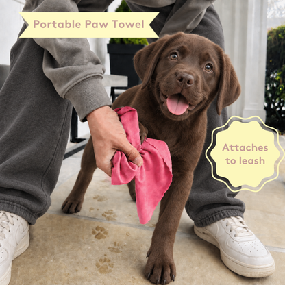 New Puppy Welcome Gift Deluxe Pet Parent Set in Blush Pink - 5pc