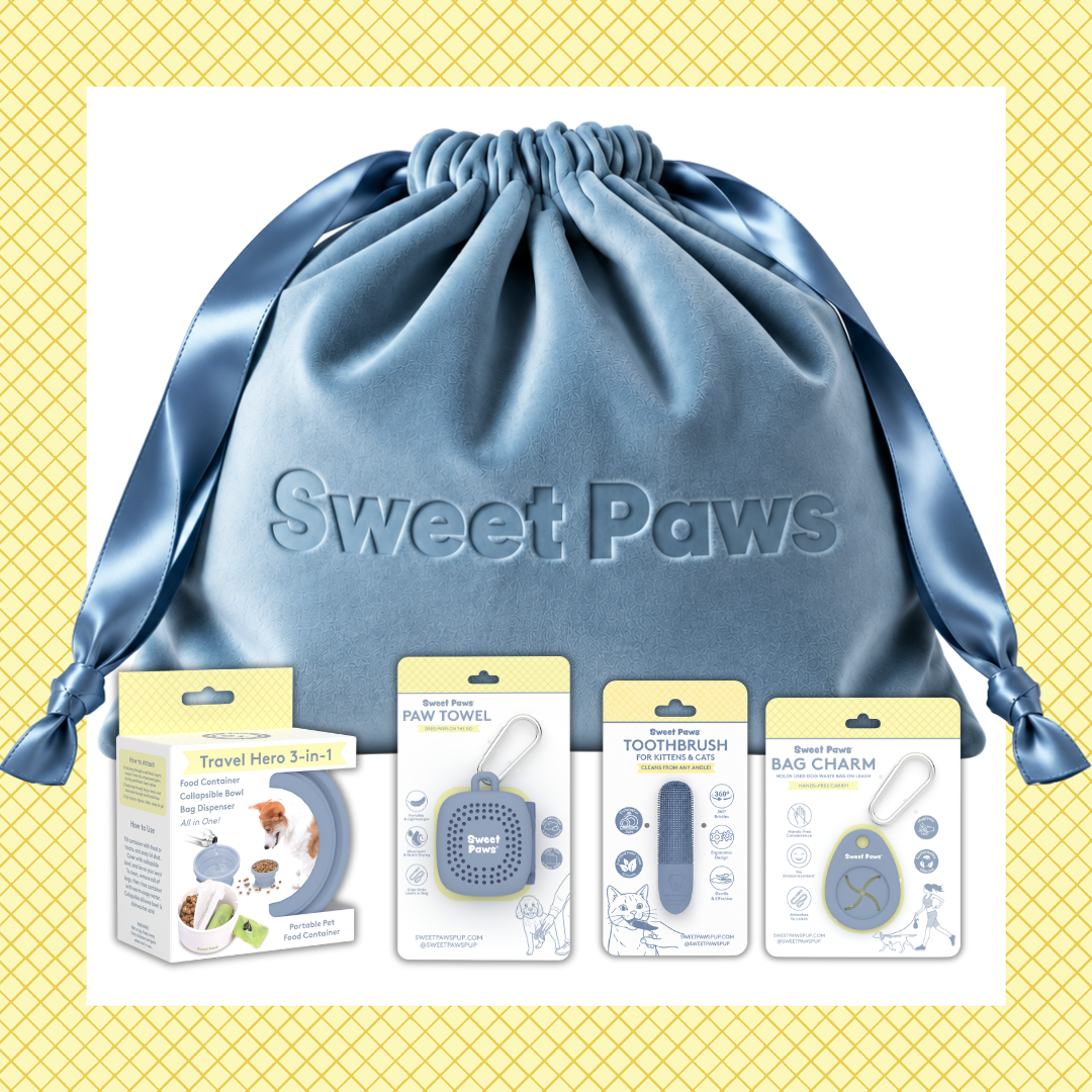 New Puppy Welcome Gift Deluxe Pet Parent Set in Glacier - 5pc