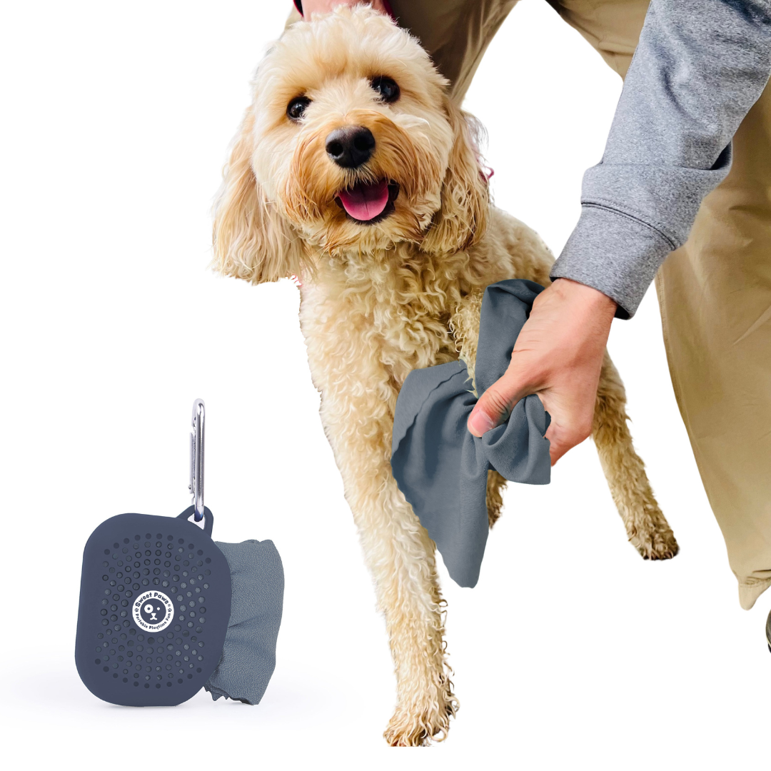 Big Paws Microfiber Portable Dog Towel