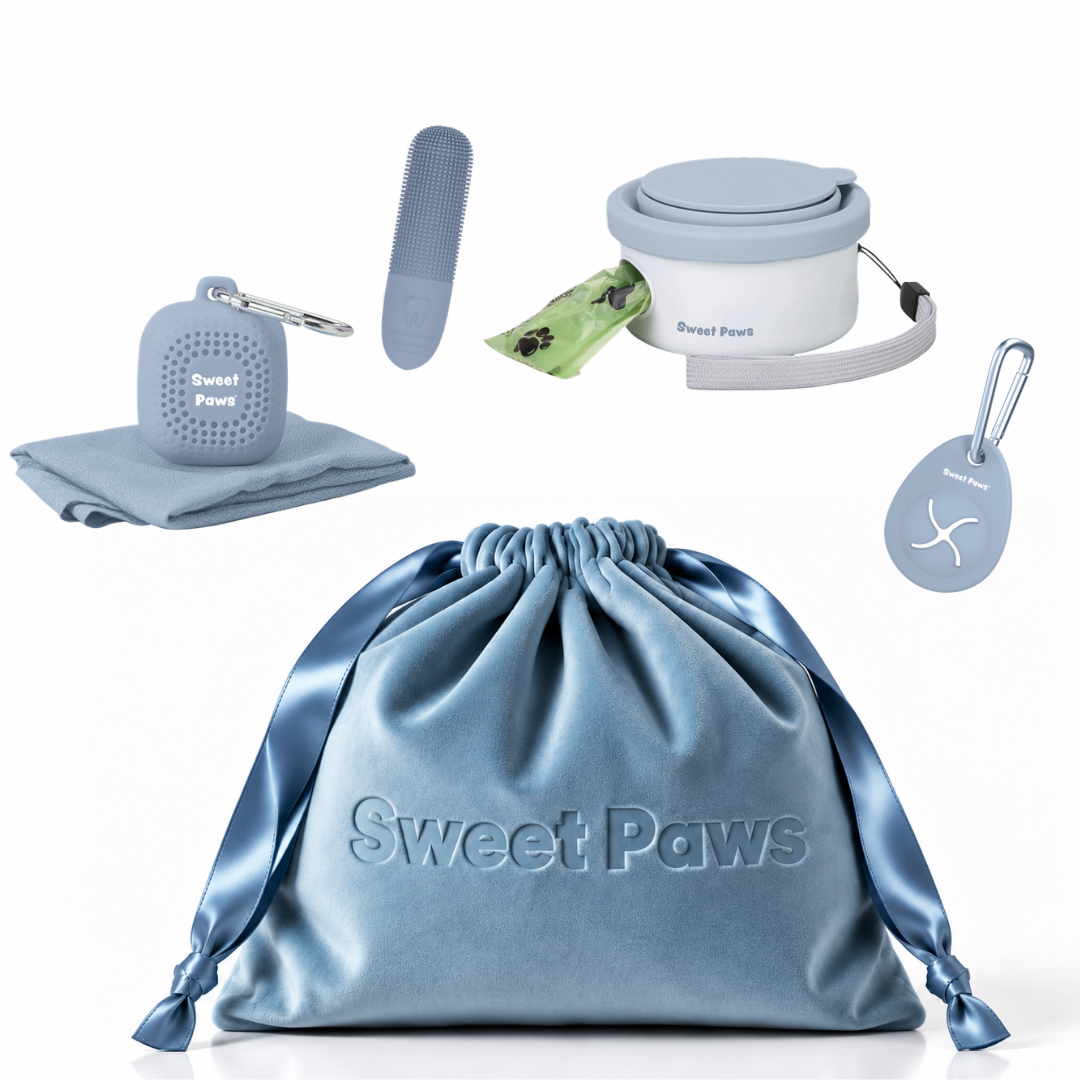 New Puppy Welcome Gift Deluxe Pet Parent Set in Glacier - 5pc