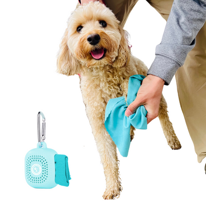 Little Paws Microfiber Portable Dog Towel