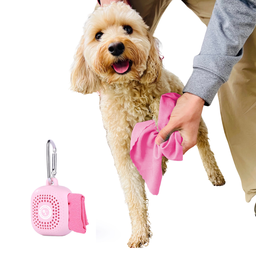 Little Paws Microfiber Portable Dog Towel