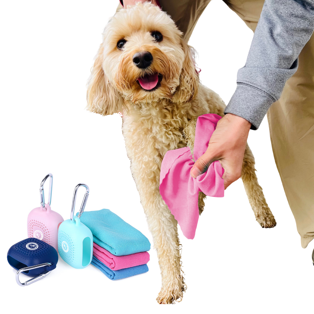 Little Paws Microfiber Portable Dog Towel