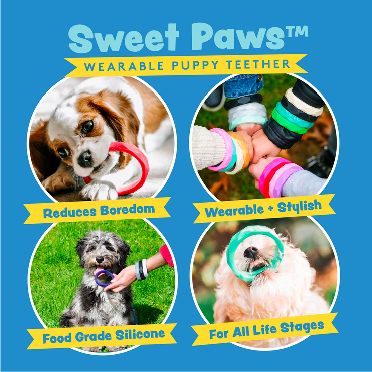 Sweet Paws Silicone Dog & Cat Teether